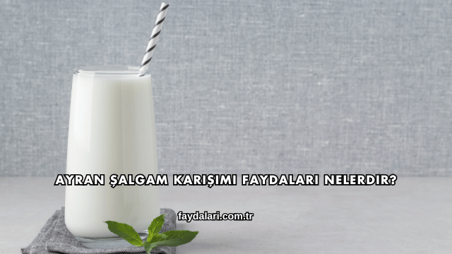 Ayran Şalgam Karışımı Faydaları Nelerdir?