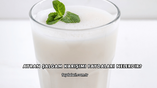 Ayran Şalgam Karışımı Faydaları Nelerdir?