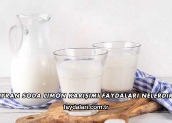 Ayran Soda Limon Karışımı Faydaları Nelerdir?