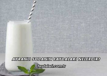 Ayranlı Sodanın Faydaları Nelerdir?
