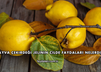 Ayva Çekirdeği Jelinin Cilde Faydaları Nelerdir?