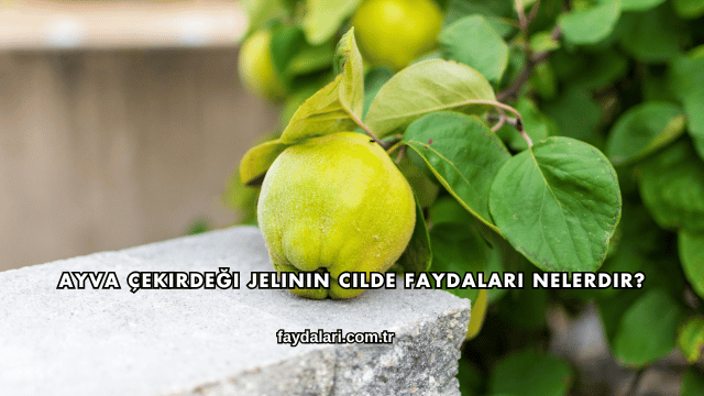 Ayva Çekirdeği Jelinin Cilde Faydaları Nelerdir?
