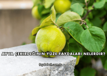 Ayva Çekirdeğinin Yüze Faydaları Nelerdir?