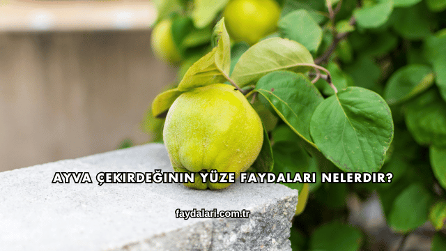 Ayva Çekirdeğinin Yüze Faydaları Nelerdir?