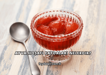 Ayva Hoşafı Faydaları Nelerdir?