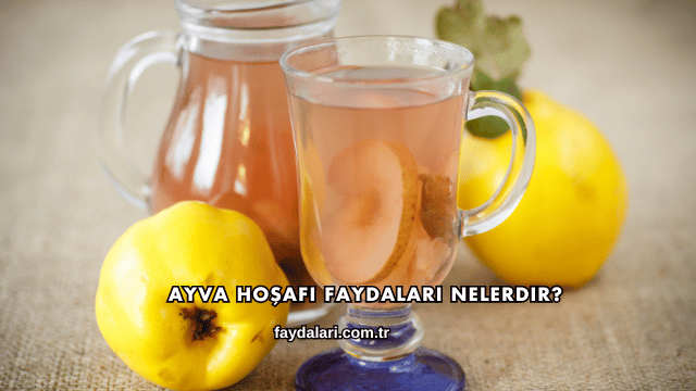 Ayva Hoşafı Faydaları Nelerdir?