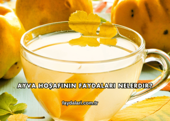 Ayva Hoşafının Faydaları Nelerdir?