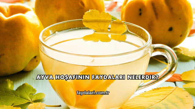 Ayva Hoşafının Faydaları Nelerdir?