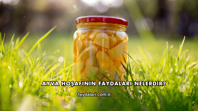 Ayva Hoşafının Faydaları Nelerdir?