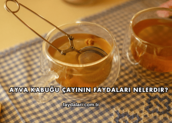 Ayva Kabuğu Çayının Faydaları Nelerdir?