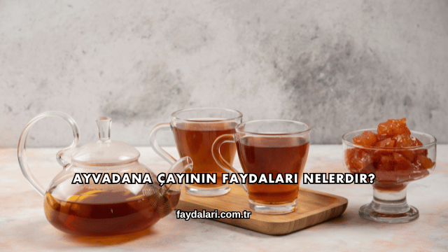 Ayvadana Çayının Faydaları Nelerdir?