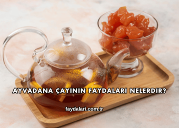 Ayvadana Çayının Faydaları Nelerdir?