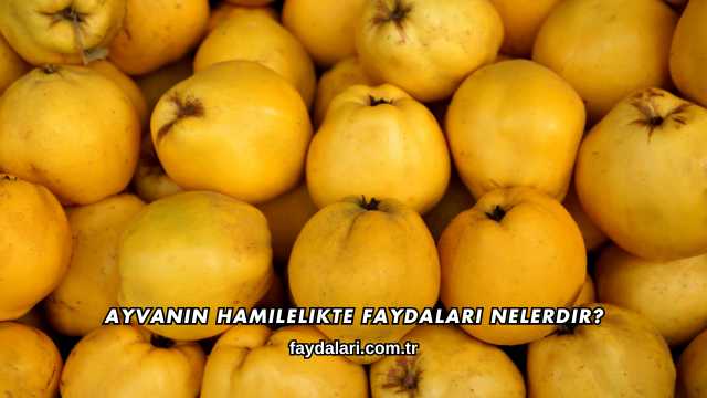 Ayvanın Hamilelikte Faydaları Nelerdir?
