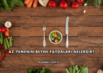 Az Yemenin Beyne Faydaları Nelerdir?