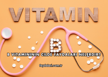 B Vitamininin Cilde Faydaları Nelerdir?