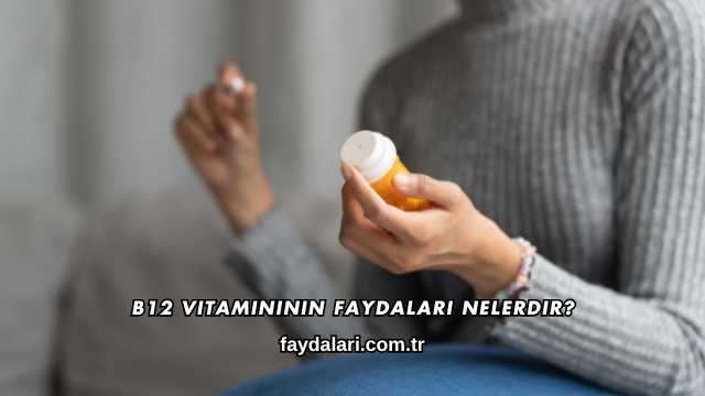 B12 Vitamininin Faydaları Nelerdir?