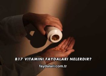 B17 Vitamini Faydaları Nelerdir?