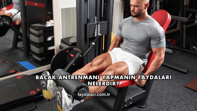 Bacak Antrenmanı Yapmanın Faydaları Nelerdir?