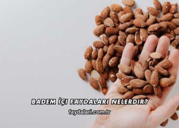 Badem İçi Faydaları Nelerdir?