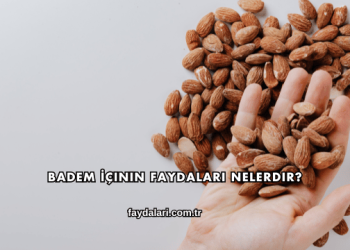 Badem İçinin Faydaları Nelerdir?