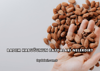 Badem Kabuğunun Faydaları Nelerdir?