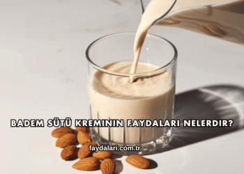 Badem Sütü Kreminin Faydaları Nelerdir?