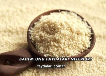 Badem Unu Faydaları Nelerdir?