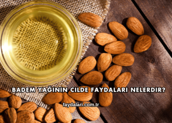 Badem Yağının Cilde Faydaları Nelerdir?