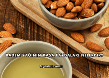 Badem Yağının Kaşa Faydaları Nelerdir?