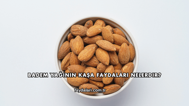 Badem Yağının Kaşa Faydaları Nelerdir?