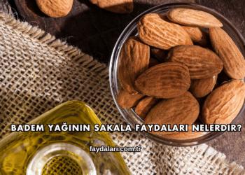 Badem Yağının Sakala Faydaları Nelerdir?