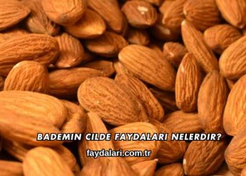 Bademin Cilde Faydaları Nelerdir?