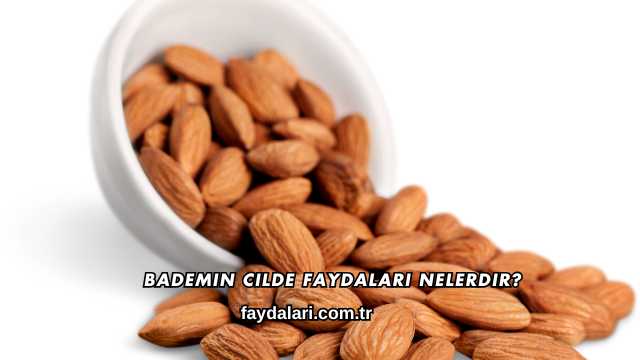 Bademin Cilde Faydaları Nelerdir?