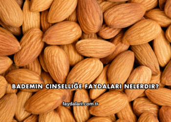 Bademin Cinselliğe Faydaları Nelerdir?