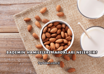 Bademin Hamilelere Faydaları Nelerdir?