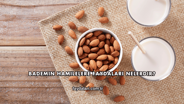 Bademin Hamilelere Faydaları Nelerdir?