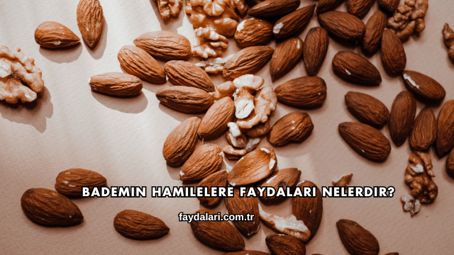 Bademin Hamilelere Faydaları Nelerdir?