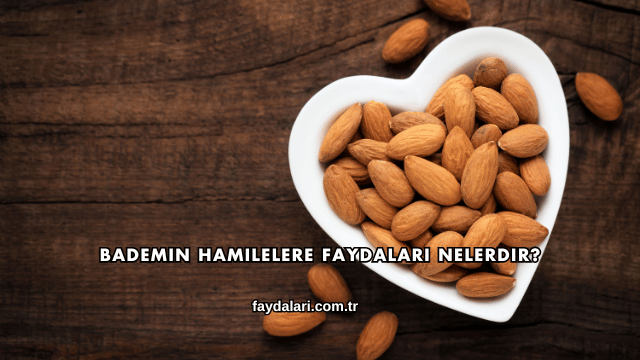 Bademin Hamilelere Faydaları Nelerdir?