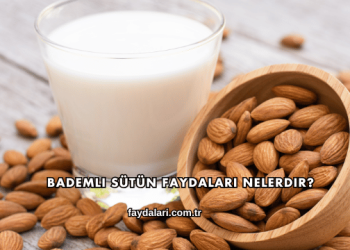 Bademli Sütün Faydaları Nelerdir?