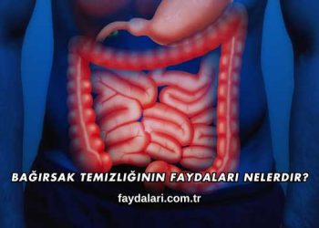 Bağırsak Temizliğinin Faydaları Nelerdir?
