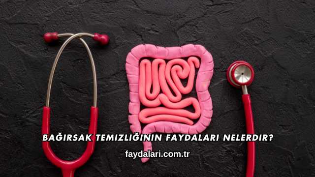 Bağırsak Temizliğinin Faydaları Nelerdir?