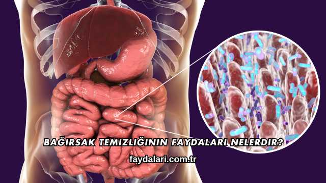 Bağırsak Temizliğinin Faydaları Nelerdir?