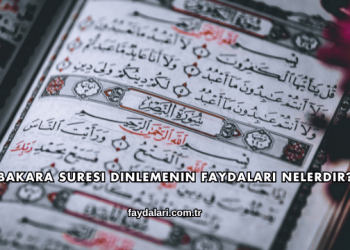 Bakara Suresi Dinlemenin Faydaları Nelerdir?