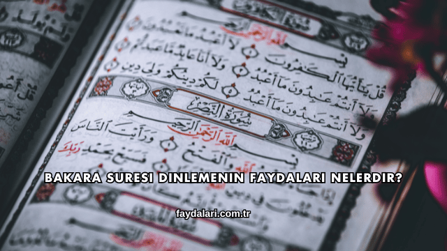 Bakara Suresi Dinlemenin Faydaları Nelerdir?