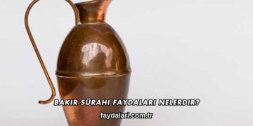 Bakır Sürahi Faydaları Nelerdir?