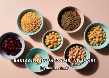 Baklagillerin Faydaları Nelerdir?