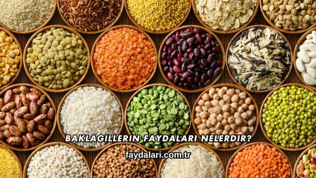 Baklagillerin Faydaları Nelerdir?