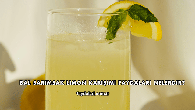 Bal Sarımsak Limon Karışımı Faydaları Nelerdir?
