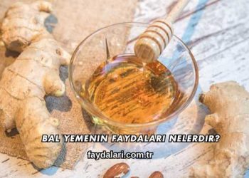 Bal Yemenin Faydaları Nelerdir?