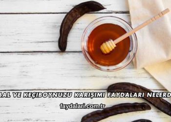 Bal ve Keçiboynuzu Karışımı Faydaları Nelerdir?